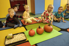 IMG_20251030_094610414_HDR