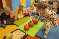 IMG_20251030_094729529_HDR