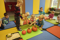 IMG_20251030_094804894_HDR