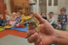 IMG_20251121_084657196_HDR