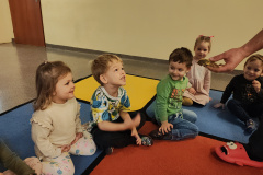 IMG_20251121_084836201