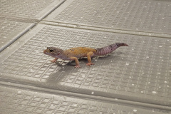 IMG_20251121_085032001_HDR