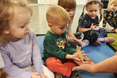 IMG_20251121_085347396_HDR