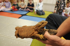 IMG_20251121_085750875_HDR