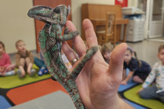 IMG_20251121_090054260_HDR