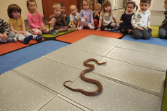 IMG_20251121_090633563_HDR