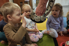 IMG_20251121_091232965_HDR