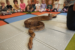 IMG_20251121_091456073_HDR