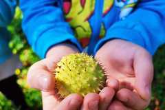 IMG-20230927-WA0014