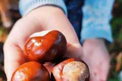 IMG-20230927-WA0016