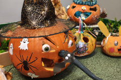 IMG_20251028_132903226_HDR