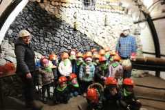 IMG-20260129-WA0014-1