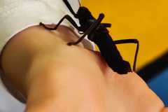 IMG-20240216-WA0124