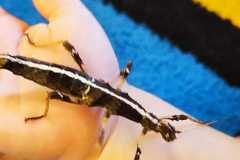 IMG-20240216-WA0130