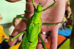 IMG-20240216-WA0136