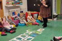 IMG-20231121-WA0017